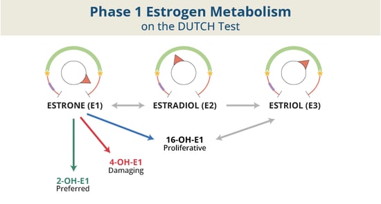 DUTCH_BlogPost_Graphic_112223_EstrogenMetabolism