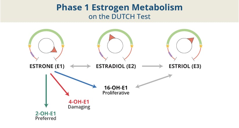 Phase 1 Estrogen Ratios