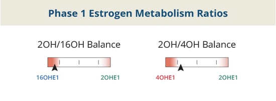 DUTCH_BlogPost_Graphic_112223_EstrogenRatios